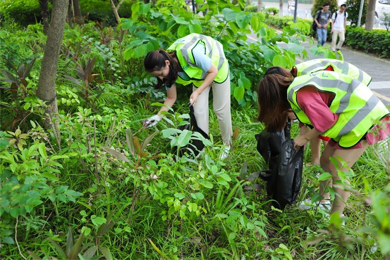 油煙凈化器，油煙凈化設(shè)備，油煙凈化機(jī)