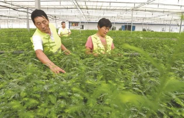 油煙凈化器，油煙凈化設(shè)備，油煙凈化機(jī)