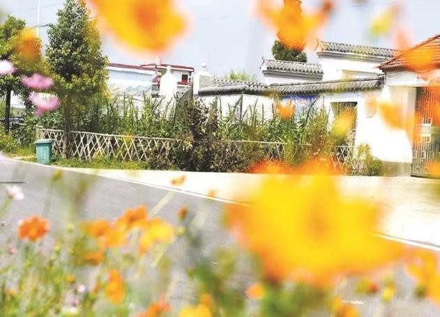 油煙凈化器，油煙凈化設(shè)備，油煙凈化機(jī)