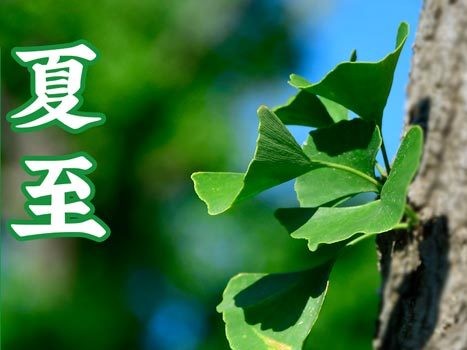 油煙凈化器，油煙凈化設(shè)備，油煙凈化機(jī)